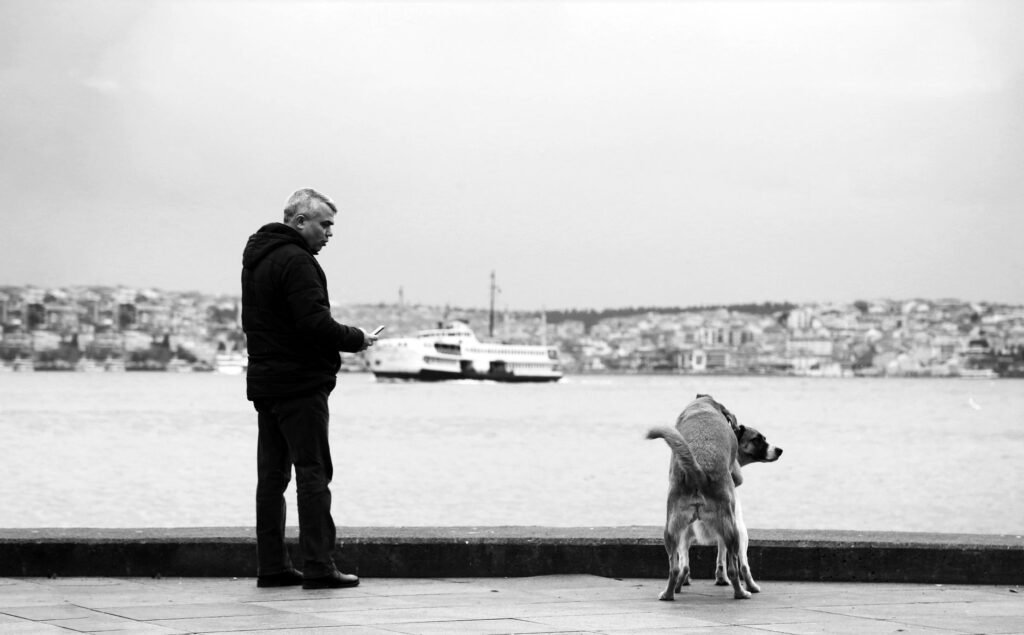 Black and white image of a man and his dog by the waterfront with a ferry in the background.