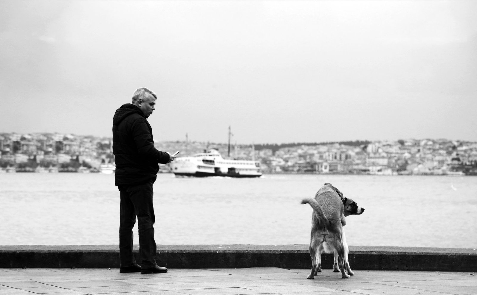 Black and white image of a man and his dog by the waterfront with a ferry in the background.